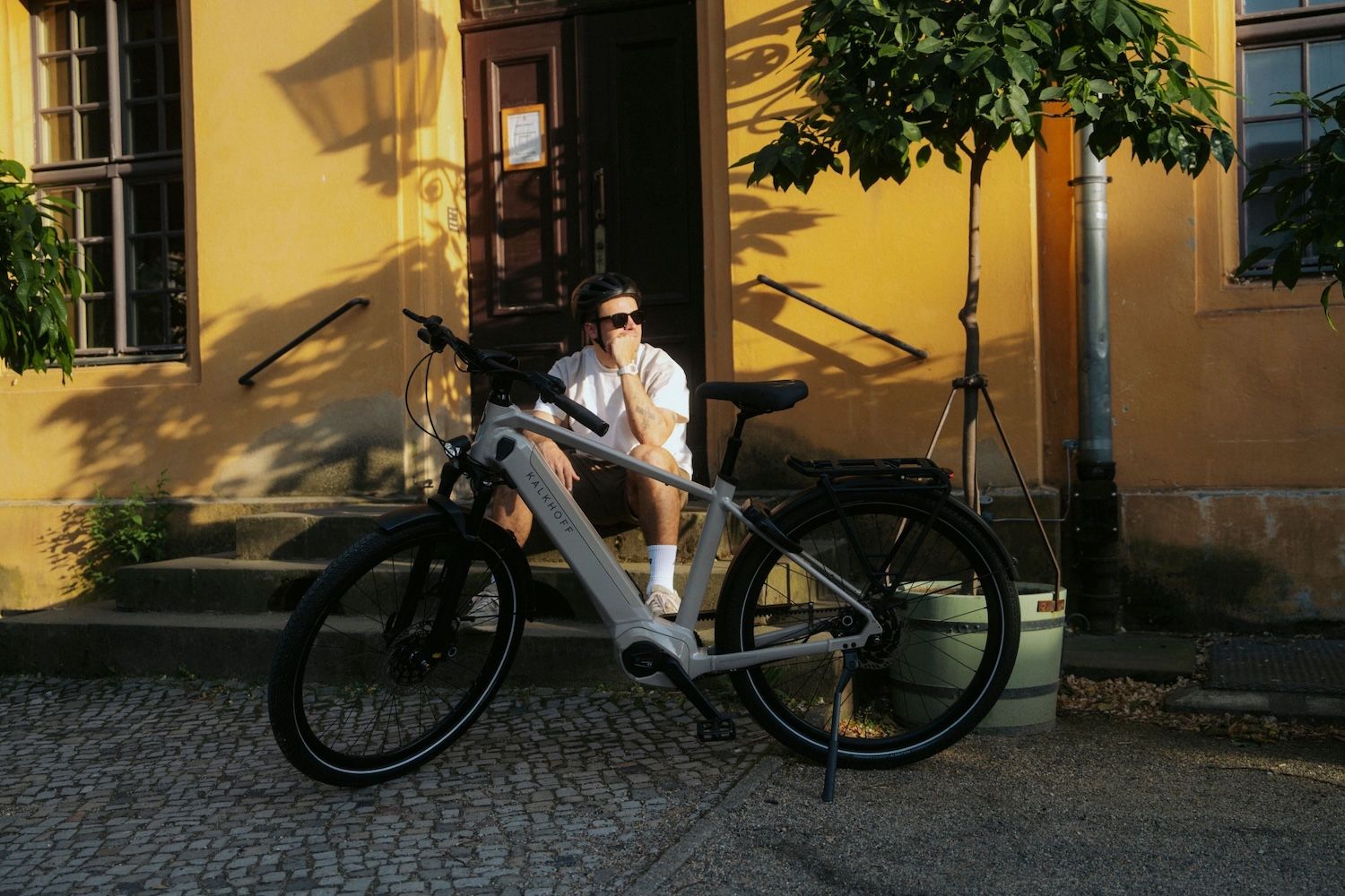 hundeanhänger fahrrad futterhaus DAISTERN Fahrradanhänger Hunde bis 45KG, 3 in 1 Gefedert für & Hundebuggy mit Bequemes Sitzkissen, Verdicktes Oxford-Gewebe, Mehrfach-Bremse, Anhängerkupplung für Fahrrad E-Bike Haustier Rahmenhöhe:54cm | M (28