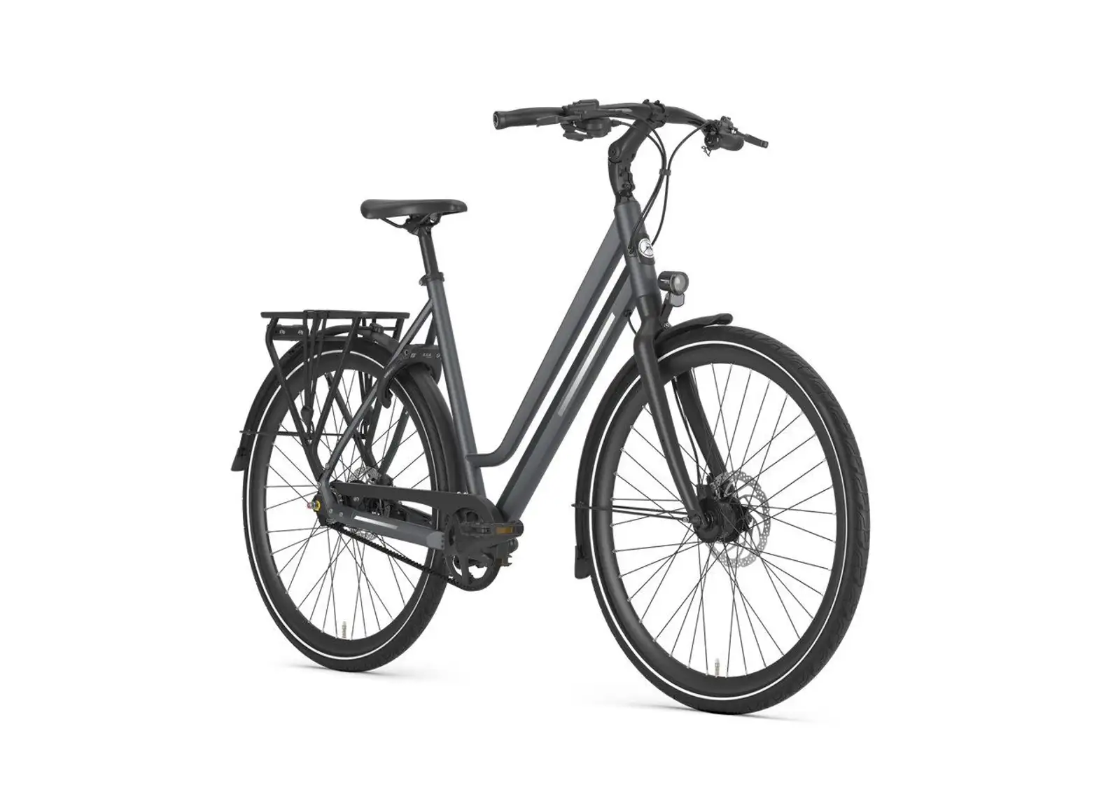 Gazelle Chamonix S11 - Bild 2