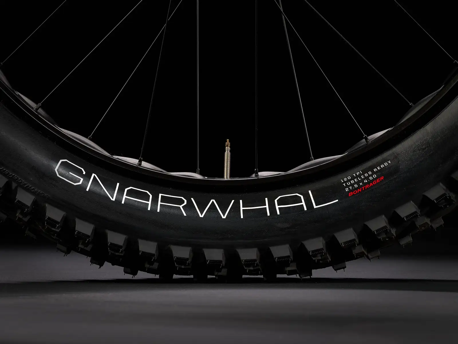 Trek Farley 5 - Bild 6