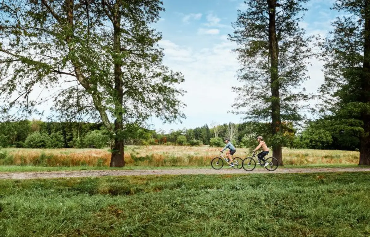 Two people on e-bikes in the countryside surrounded by nature
