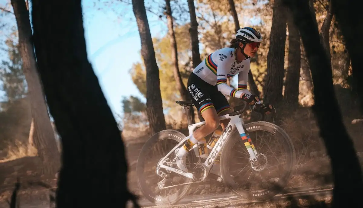 person on a gravel bike in forest