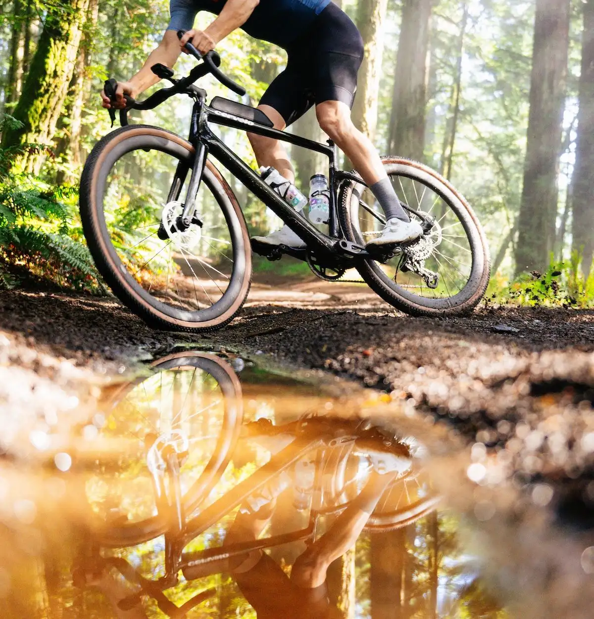 Person auf Gravelbike im Wald