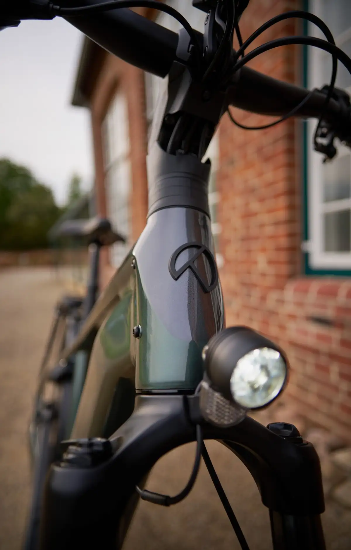 Detailaufnahme Lenker Kalkhoff E-Bike