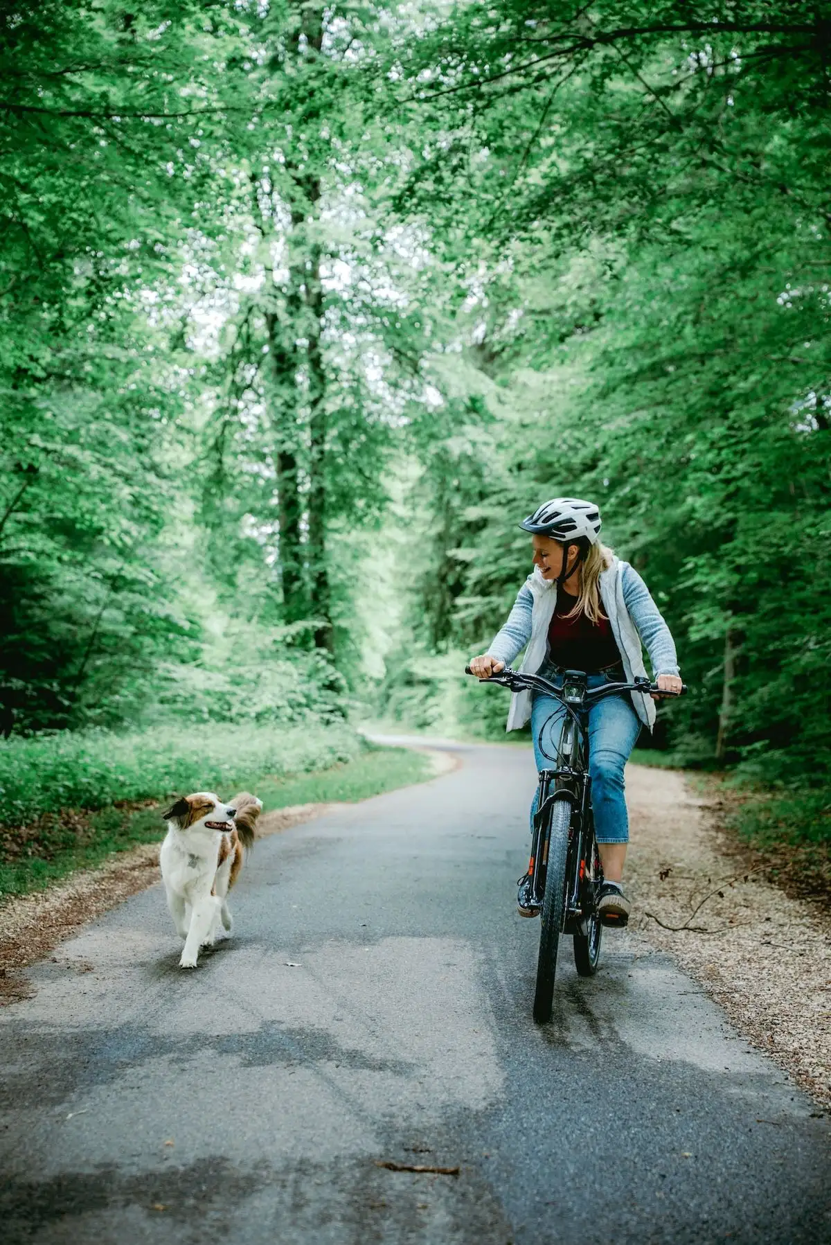 Frau fährt neben Hund auf Fahrrad durch einen Wald auf Radweg und lacht ihn an