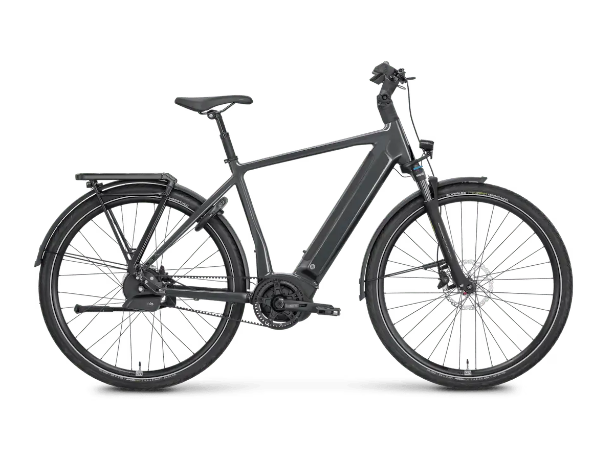 Rose Xtra Watt Plus