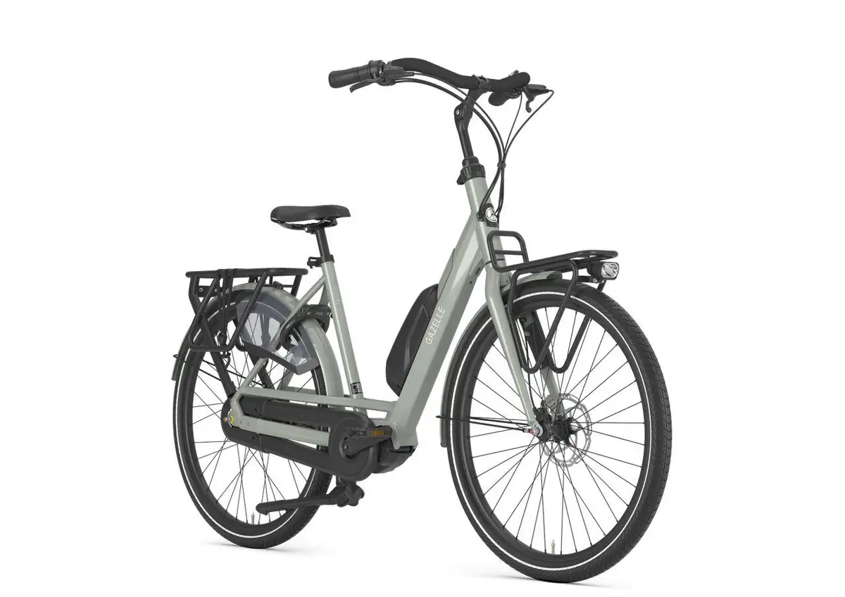 Gazelle Bloom C310 - Bild 2