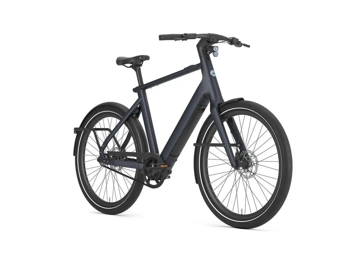 Gazelle Cayo C1 - Image 2