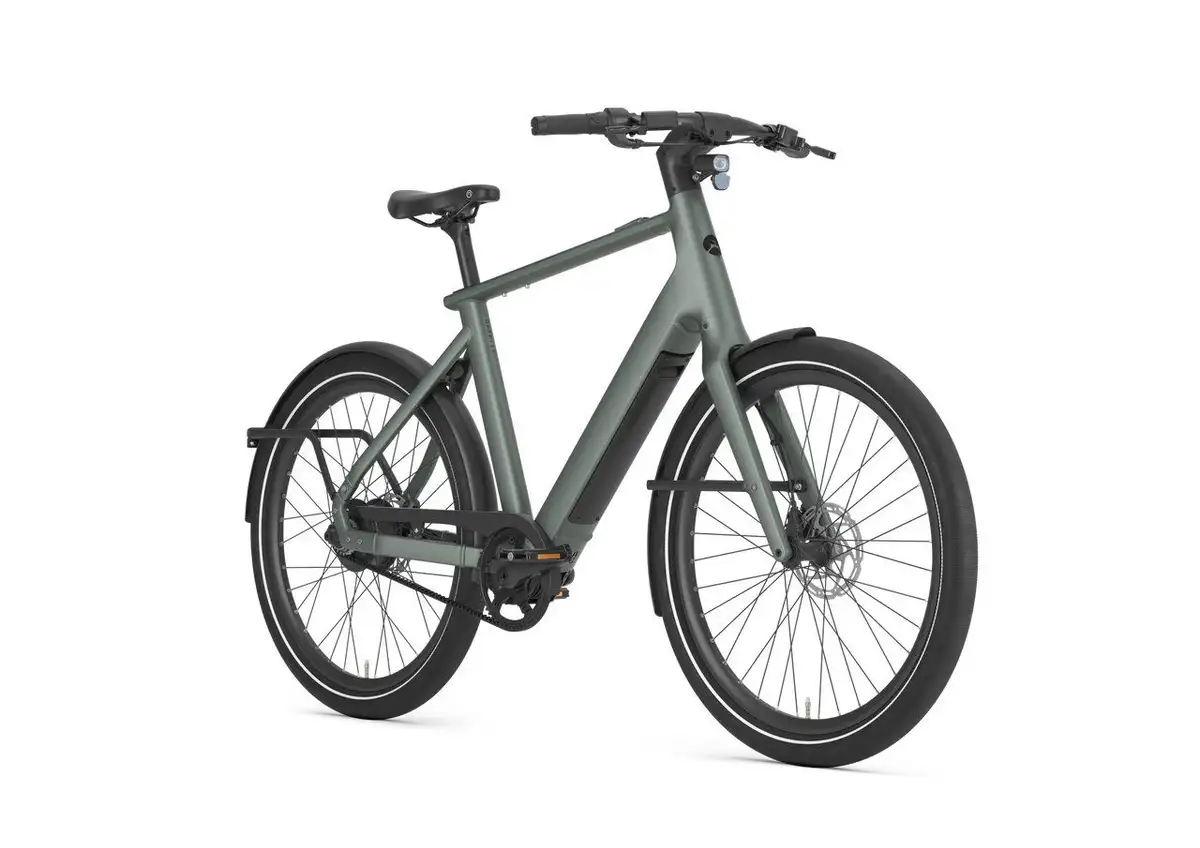 Gazelle Cayo C310 - Bild 2