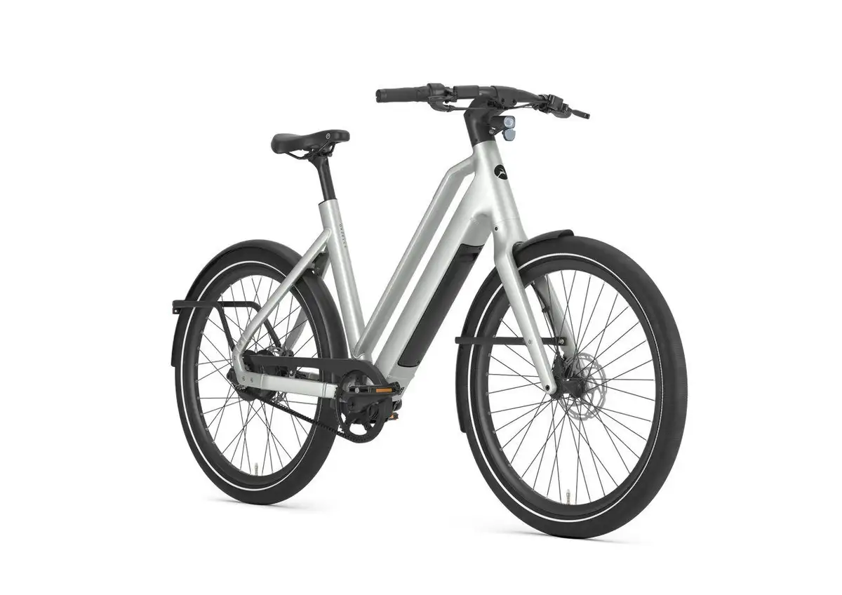 Gazelle Cayo C310 - Image 2