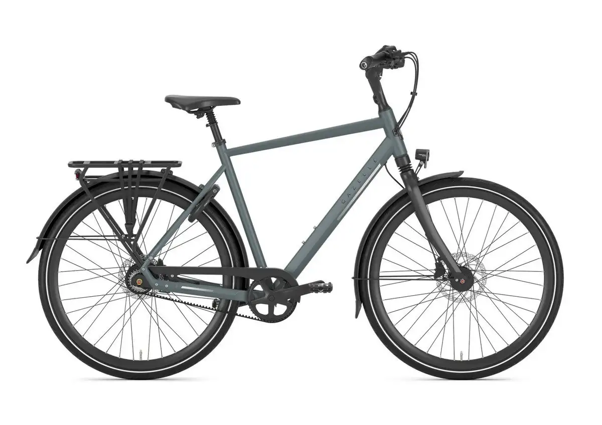 Gazelle Chamonix S8 - Image 1