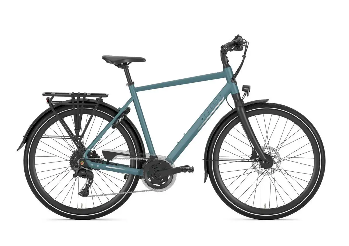 Gazelle Chamonix T20 - Image 1