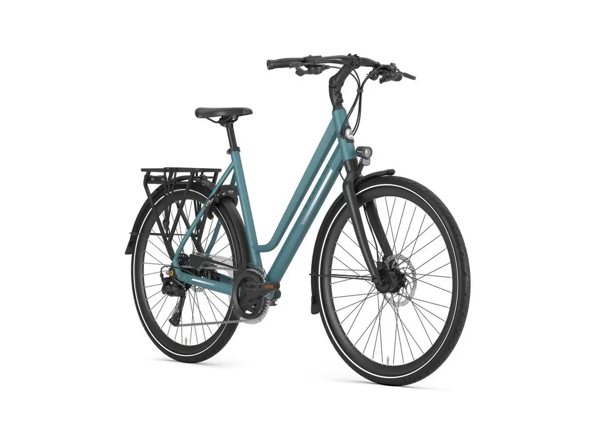 Gazelle Chamonix T20 - Image 2