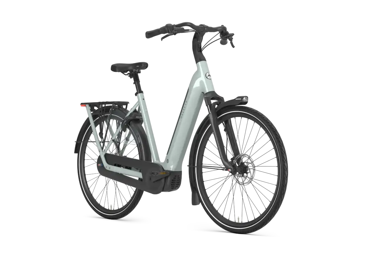Gazelle Grenoble C8 - Image 2