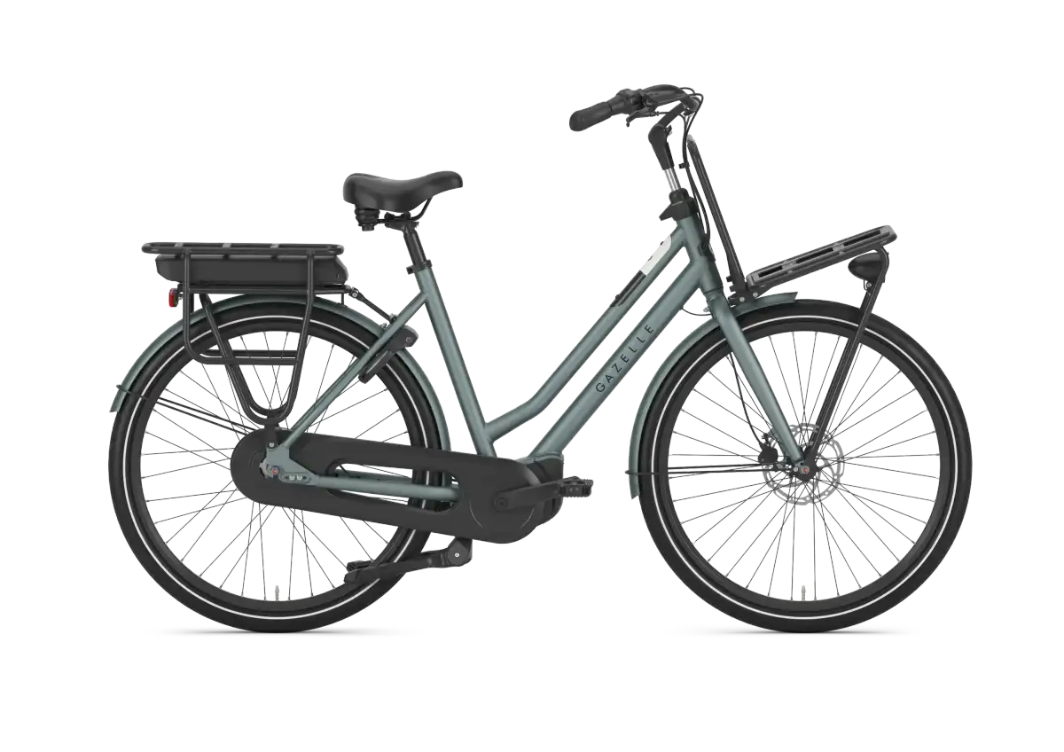 Gazelle HeavyDutyNL C5 - Image 1