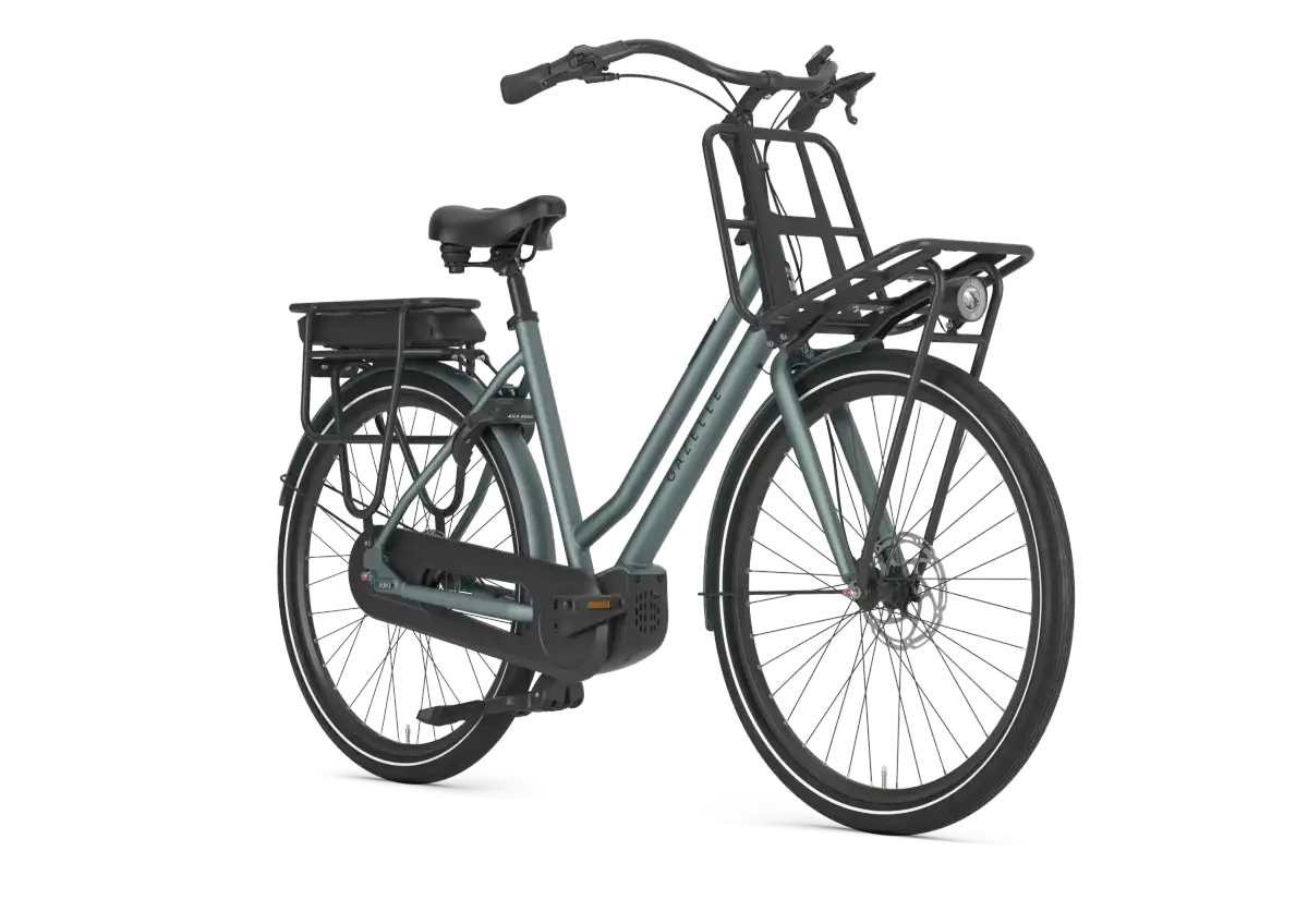 Gazelle HeavyDutyNL C5 - Image 2