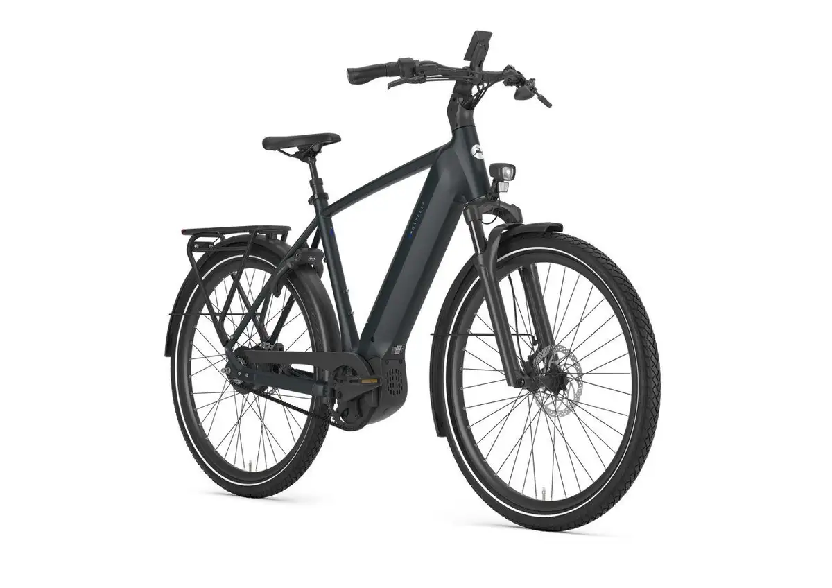 Gazelle Ultimate C380 - Bild 2