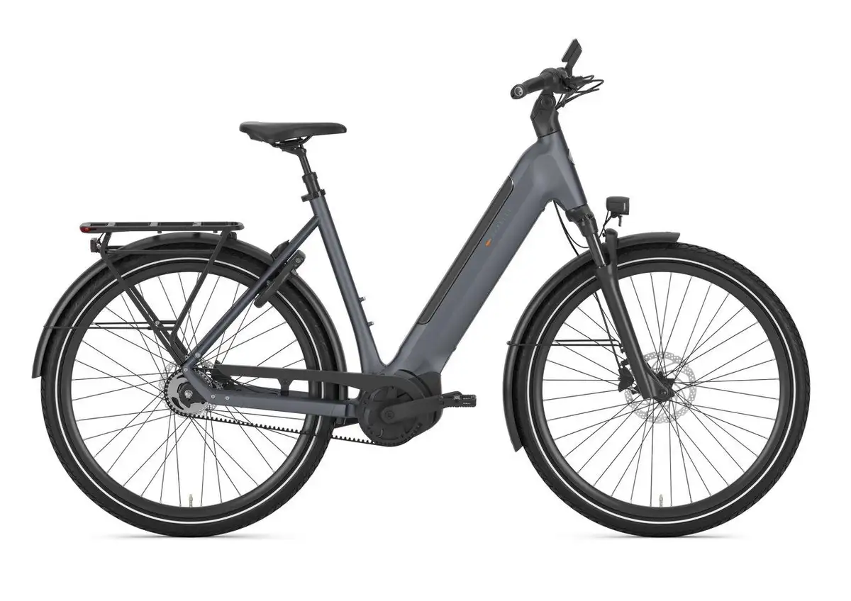 Gazelle Ultimate C5+ - Bild 1