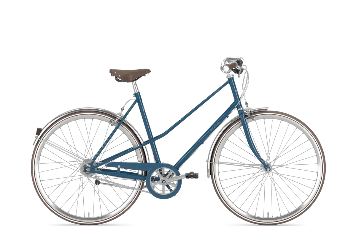 Gazelle Van Stael - Bild 1