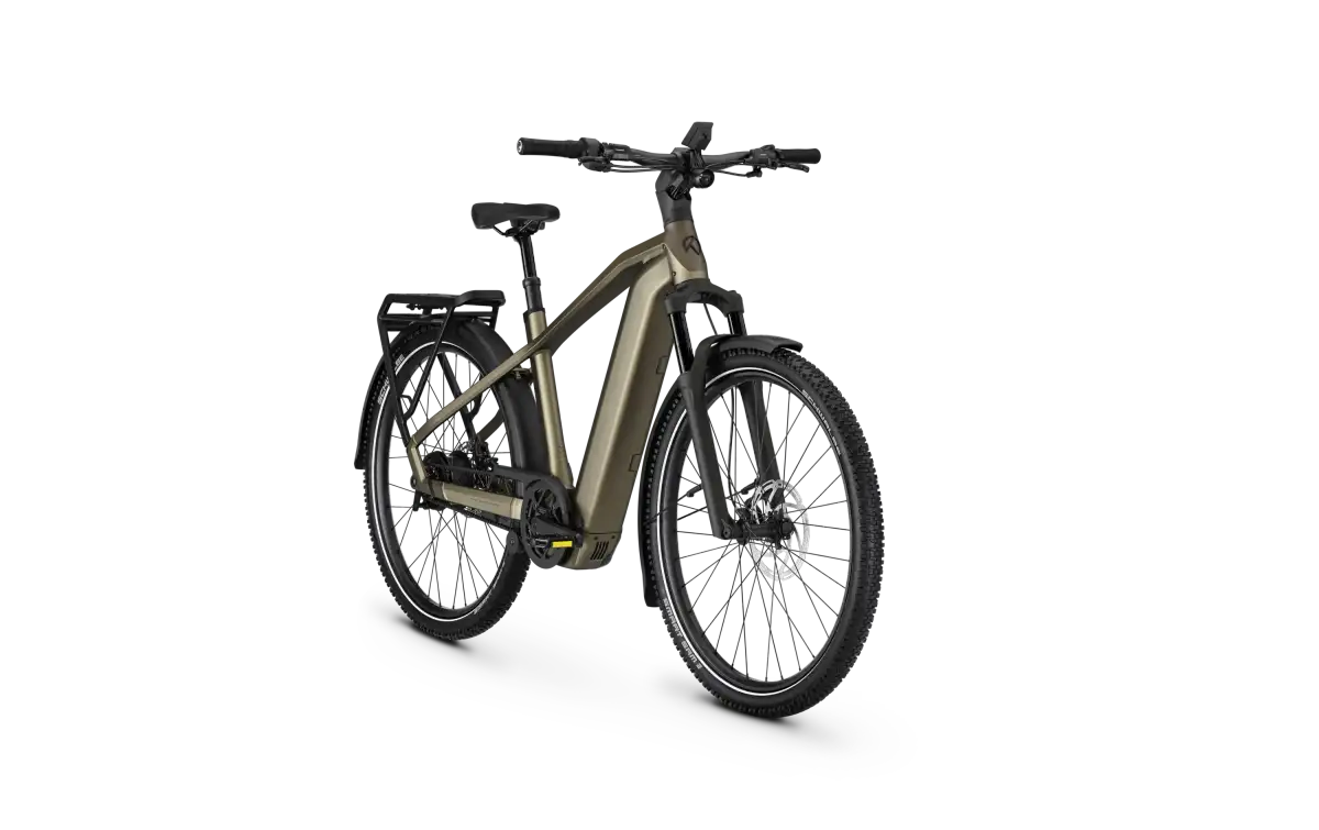 Kalkhoff ENTICE 5+ ADVANCE BELT - Image 2