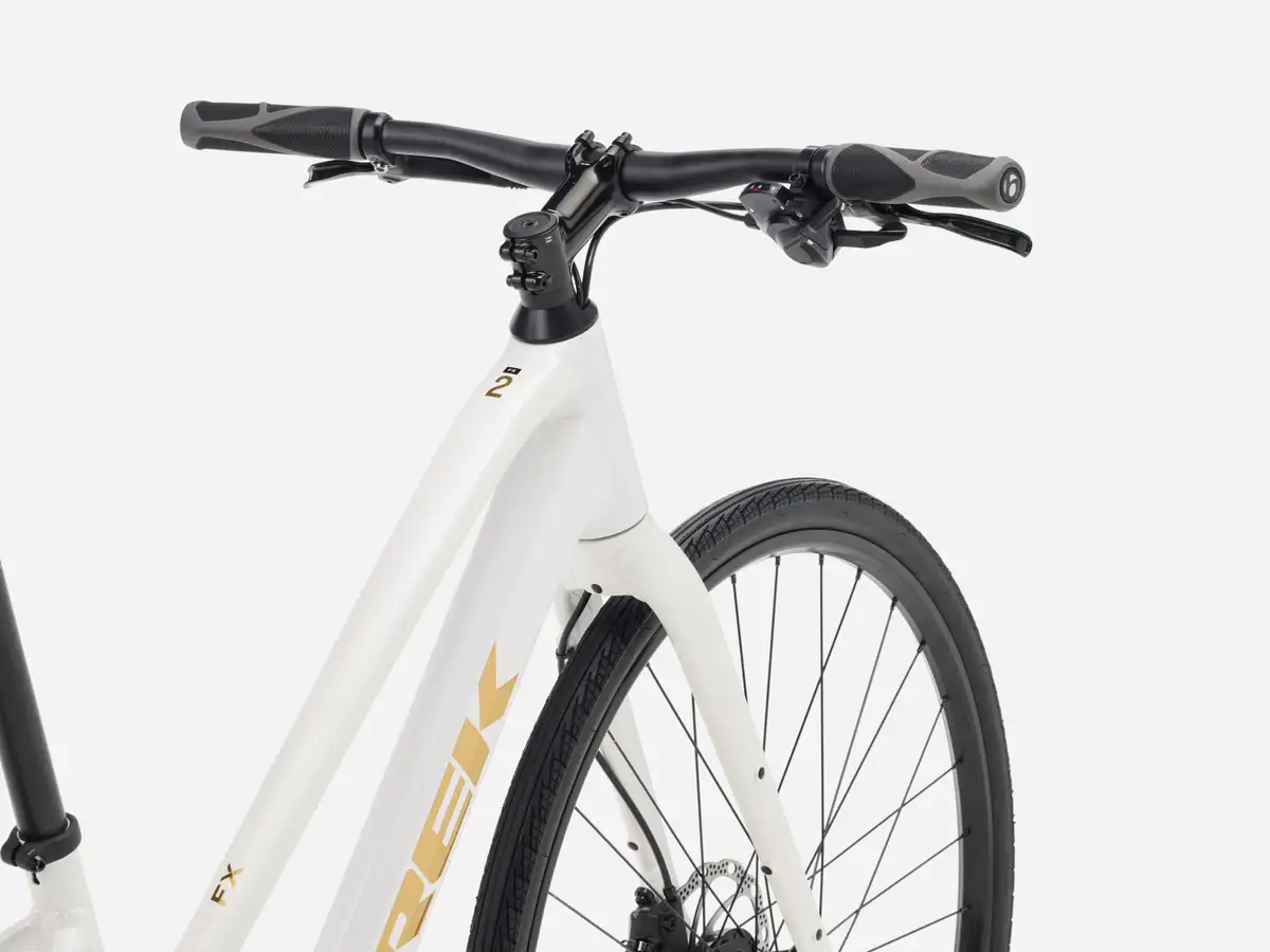 Trek FX 2 Midstep - Bild 3