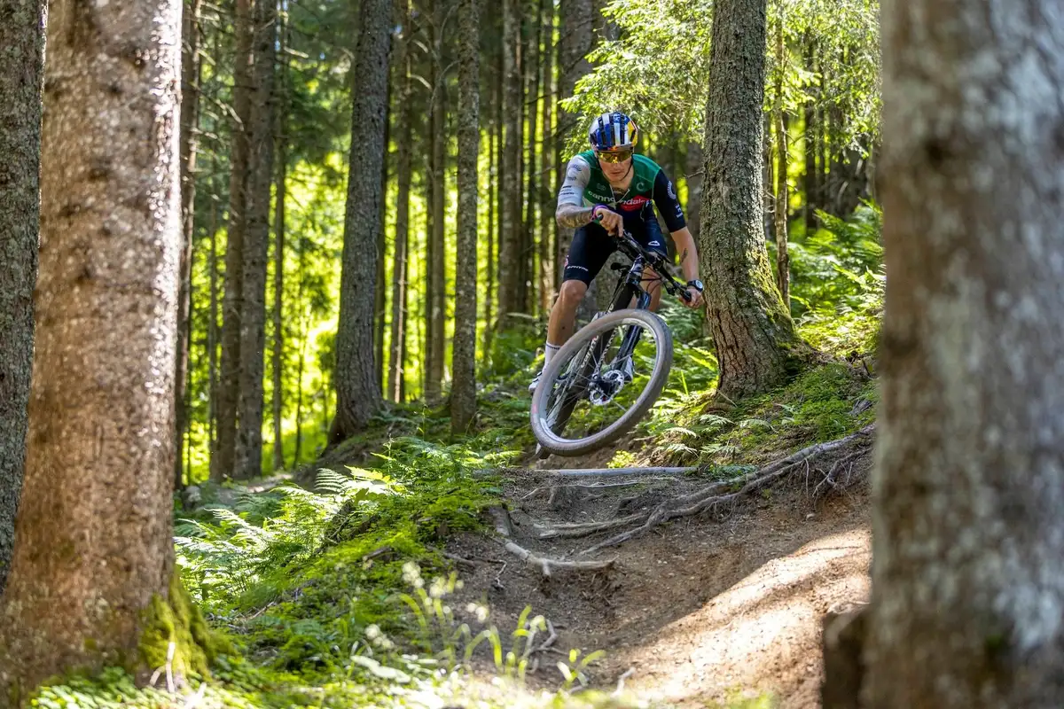 Mountainbiker im Wald