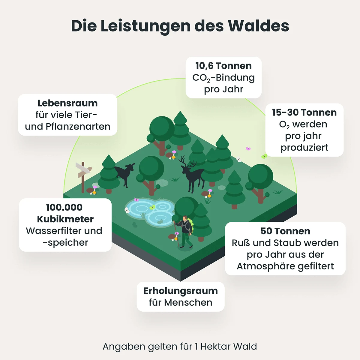 Infografik zu den Leistungen des Waldes für Umwelt, Klima und Menschen