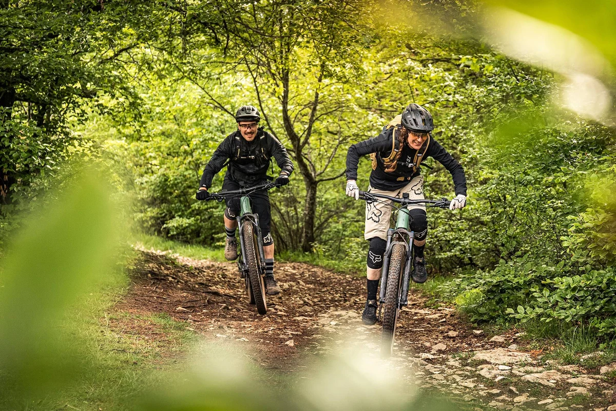 Zwei Radfahrer fahren durch sommerliches Waldstück mit Mountainbikes