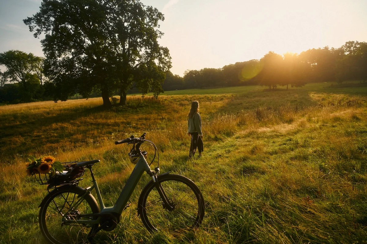 Kalkhoff Fahrrad mit Sonnenblumen im Korb in Sonnenuntergang Frau steht etwas weiter hinten auf Feld