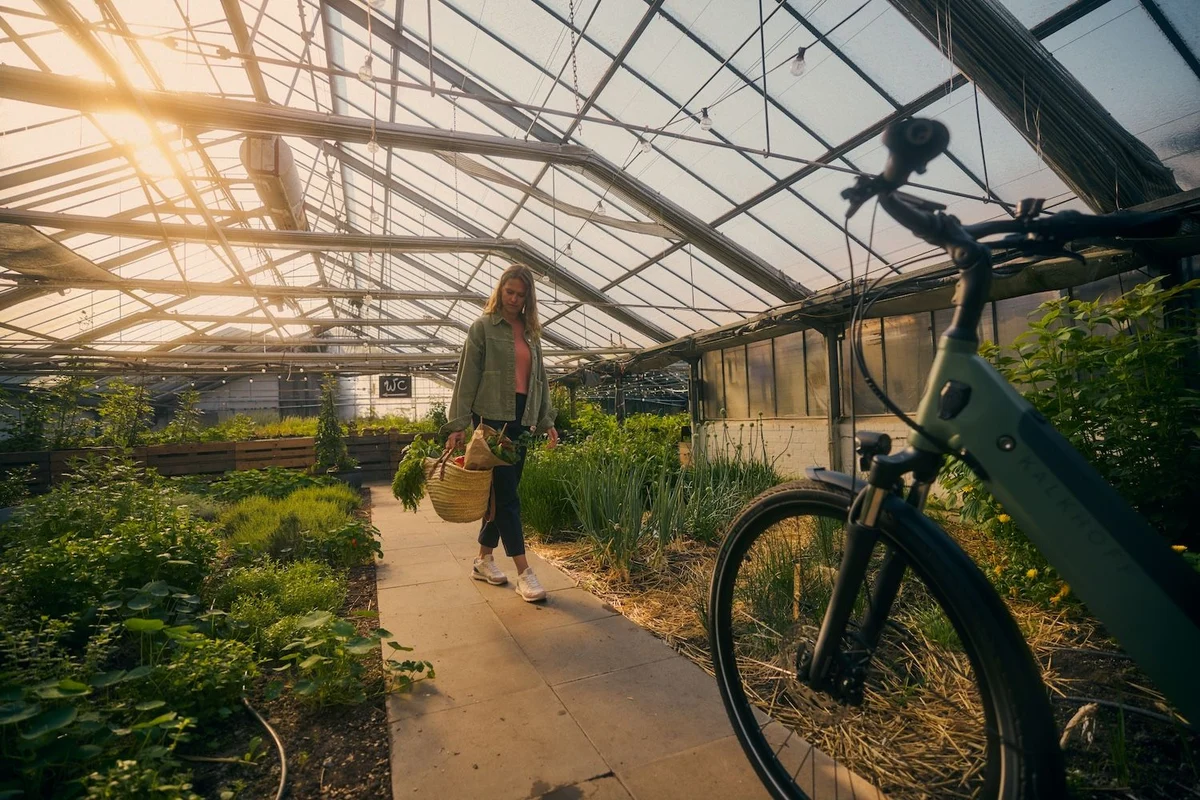 Frau steht mit Einkaufskorb in Gewächshaus, Fahrrad im Vordergrund