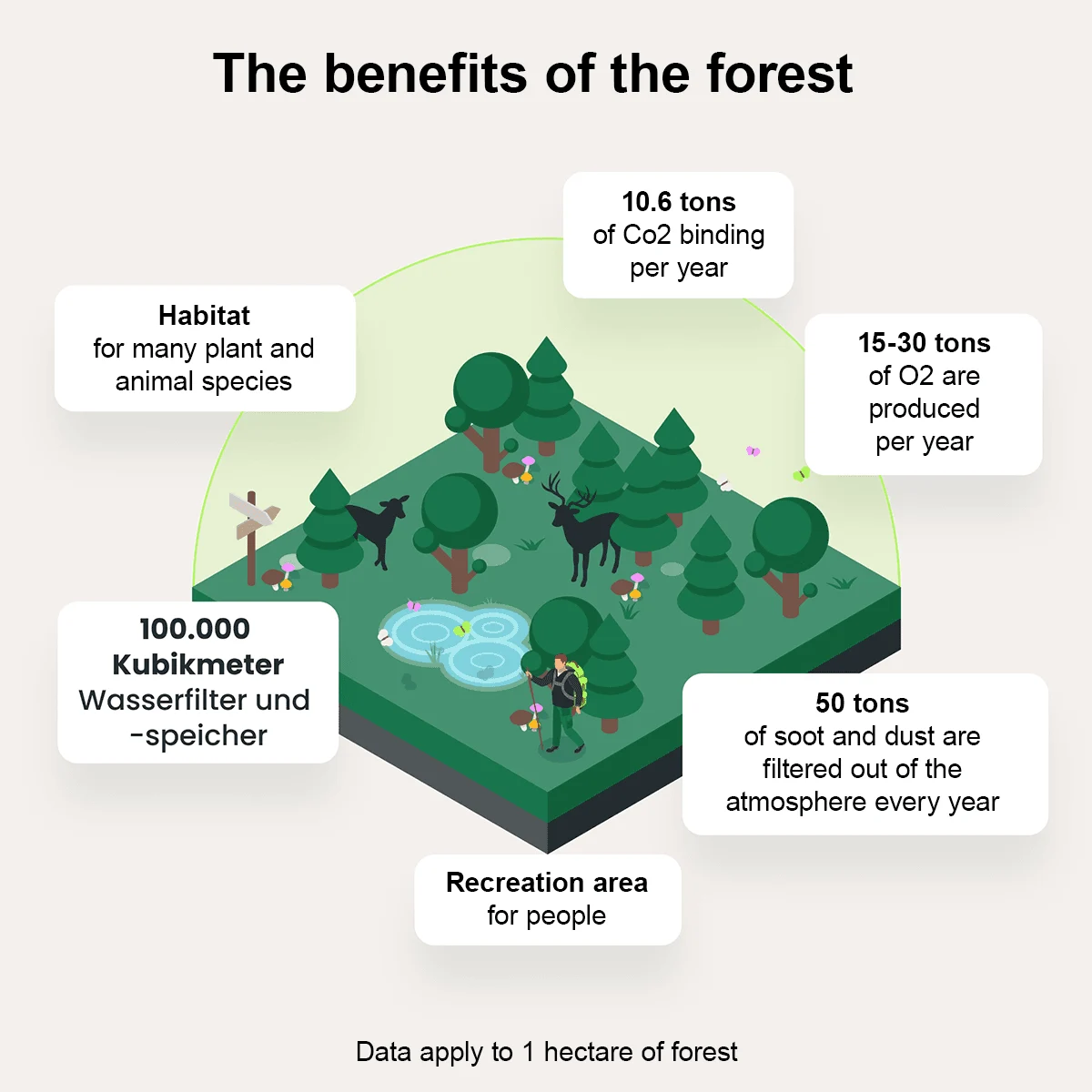 Infographic on the forest’s benefits for the environment, climate, and people