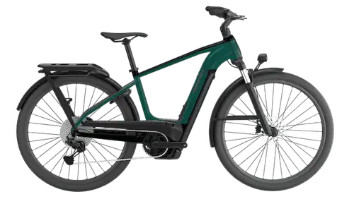 Cannondale Tesoro Neo X 1