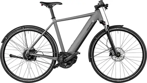 Riese und Müller Roadster vario