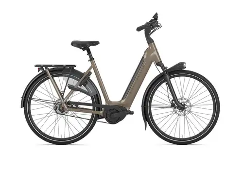 Gazelle Arroyo C5 Elite