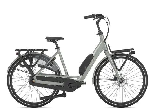 Gazelle Bloom C310