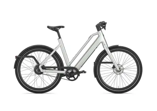 Gazelle Cayo C310