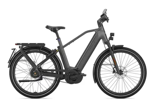 Gazelle Eclipse Speed