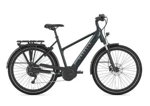 Gazelle Medeo T10