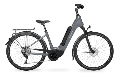 Velo de Ville CEB 900 CARBON
