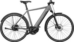 Riese und Müller Roadster vario