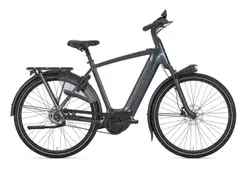 Gazelle Arroyo C5 Elite