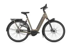 Gazelle Arroyo C5 Elite