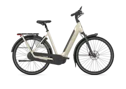 Gazelle Arroyo C5 Elite