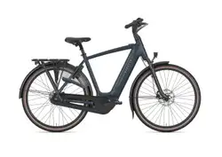 Gazelle Grenoble C8