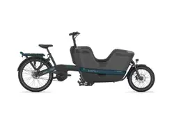 Gazelle Makki Urban