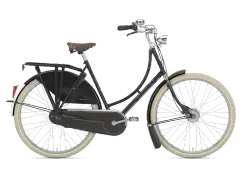 Gazelle Tour Populair C8