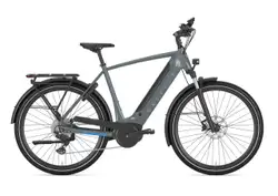 Gazelle Ultimate T10