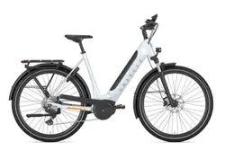 Gazelle Ultimate T10