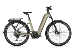 Kalkhoff ENTICE 5+ ADVANCE